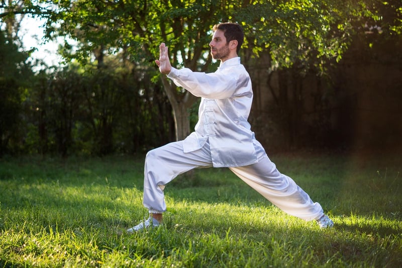 Sun Style Tai Chi Pose